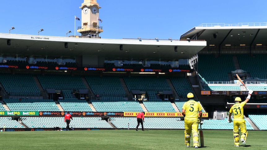 David Warner and Aaron Finch walk out to an empty SCG