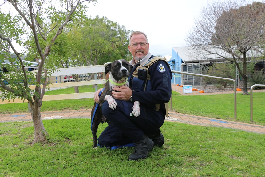 RSPCA Kimberley Inspector Wayne Moroney with dog Ella. 