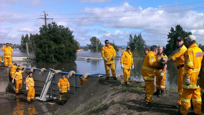 NSW RFS volunteers sandbagging at Maitland to prevent further damage to the town.