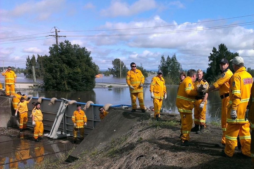 SES volunteers sandbagging at Maitland