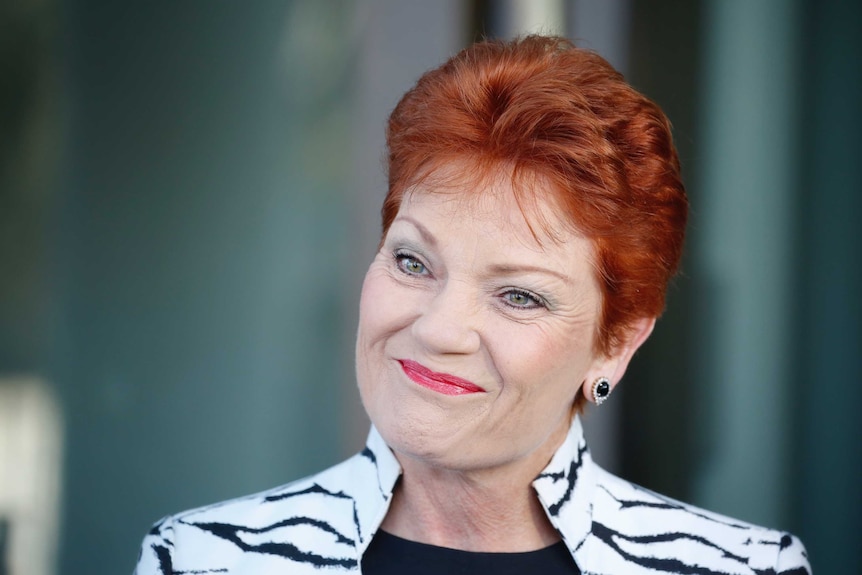 One Nation's Pauline Hanson