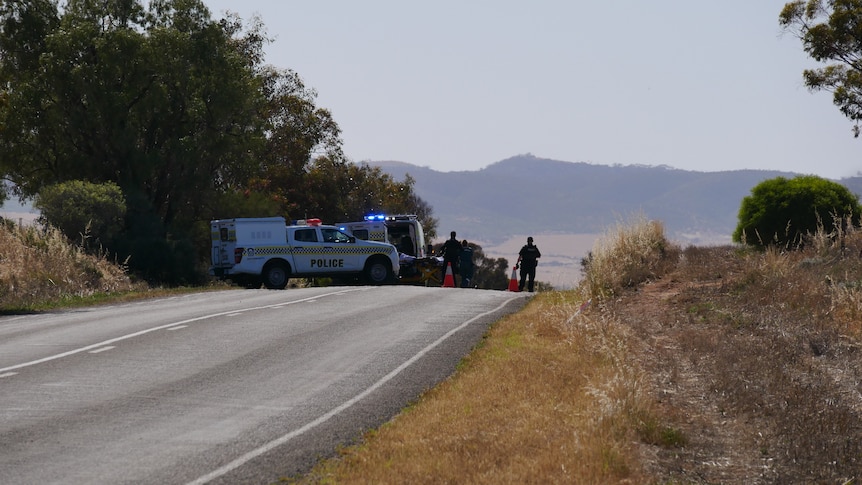 Police officers and a police car on a country road