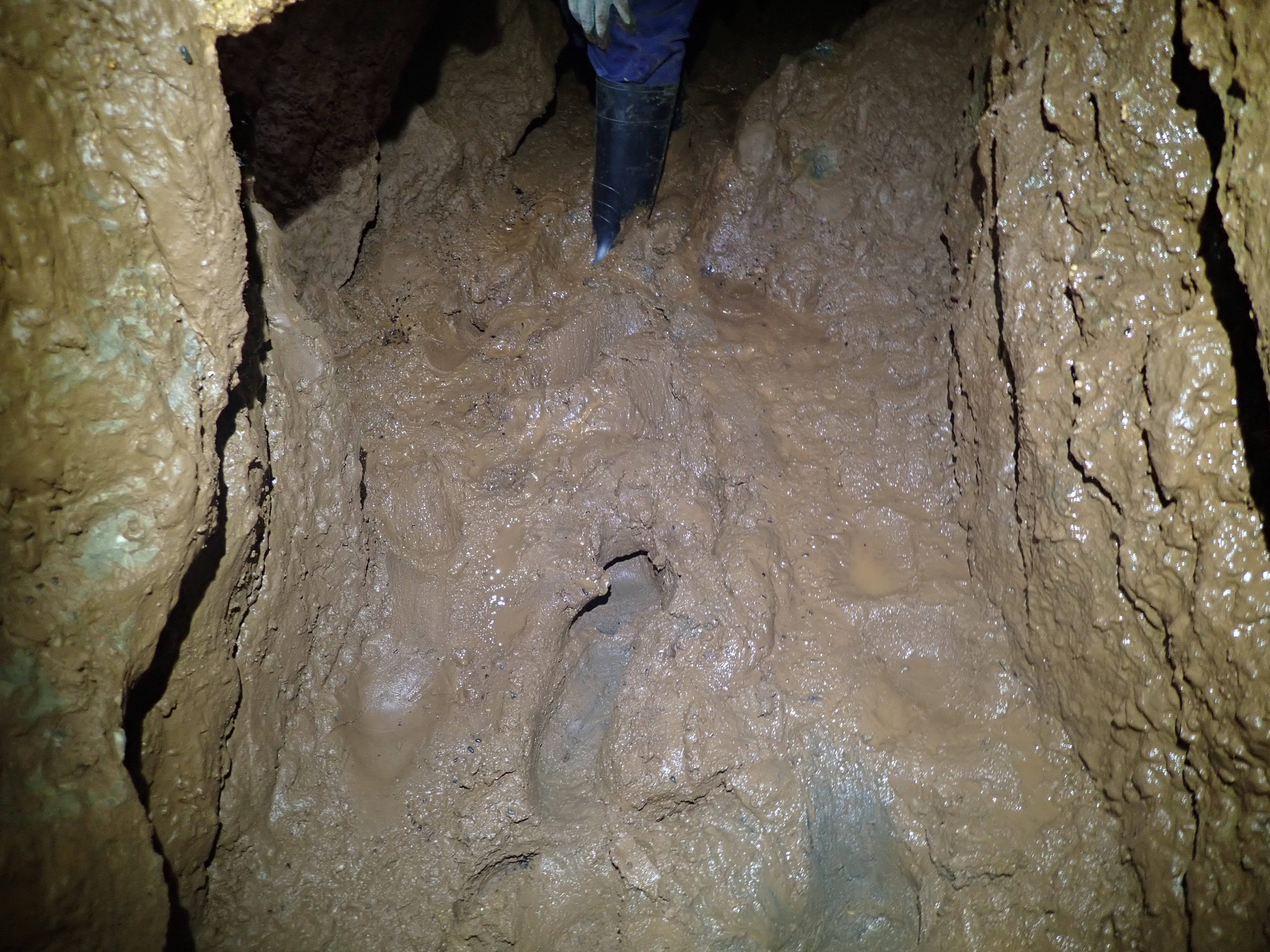 A photo of an old cave located at Buchan