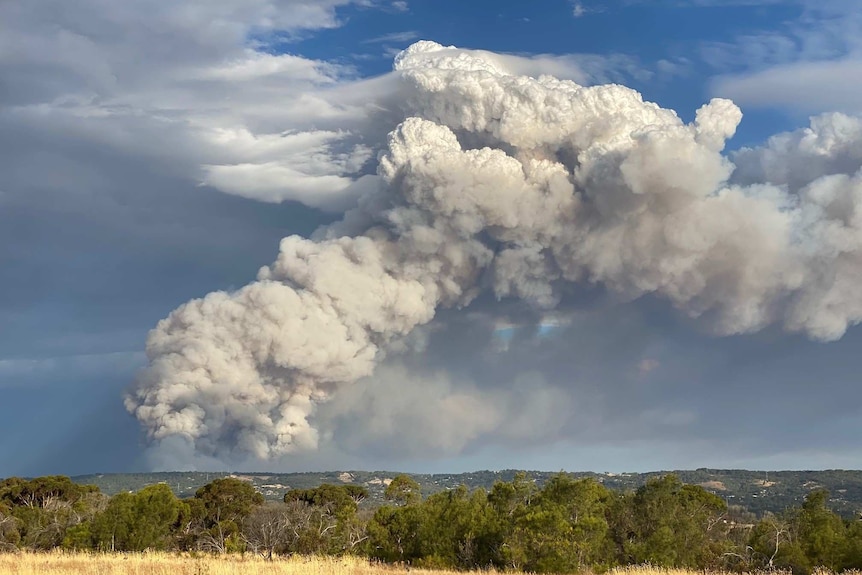 Cherry Gardens smoke plume