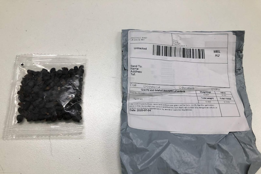 A small clear packet of black seeds sits on a table next to an envelope.