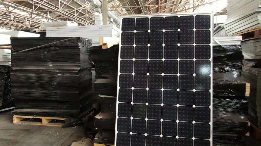 Hundreds of old solar panels sit on a factory floor