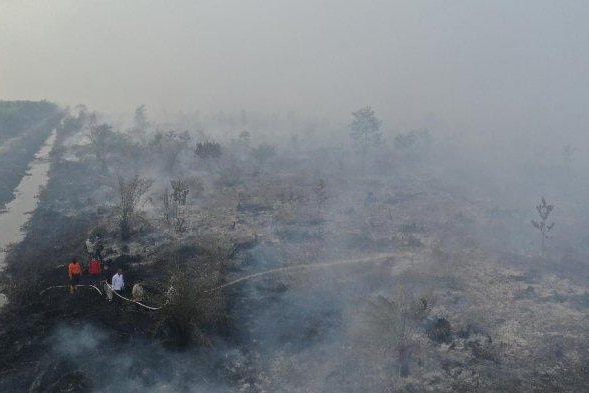 kebakaran lahan di Muaro Jambi