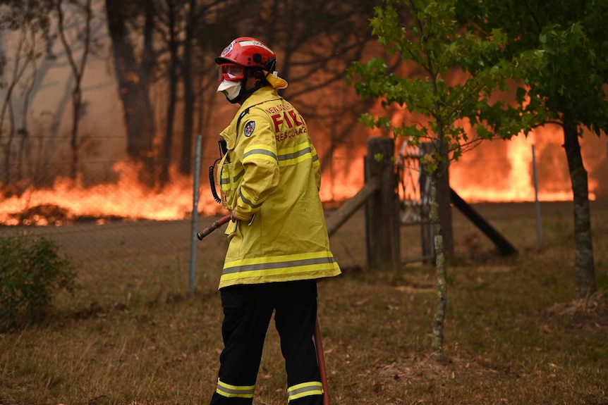 A firefighter standing amid flames in bushland.