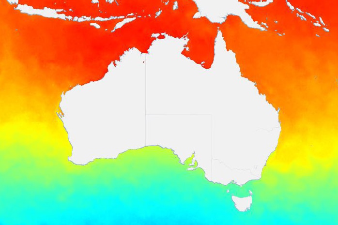 A map of Australia with the ocean covered in bright colours reflecting a rise in sea temperatures.