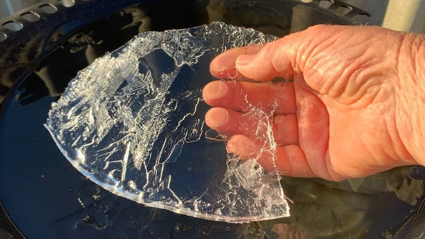 Water in bird bath frozen. 