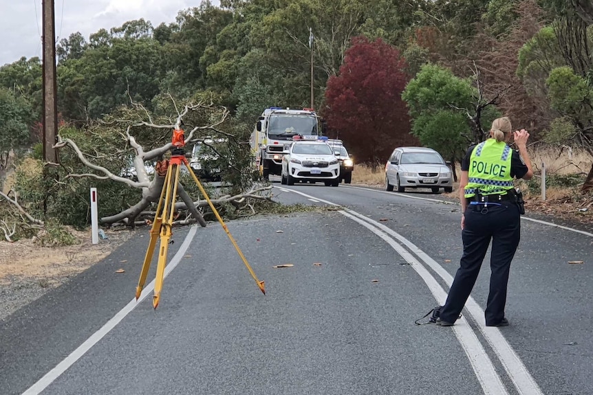 A female police officer on a road with a camera on a tripod and a tree on the road