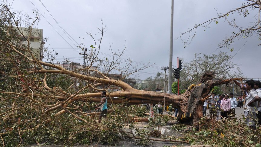Damage after Cyclone Hudhud