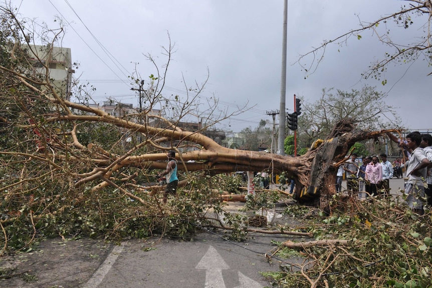 Damage after Cyclone Hudhud