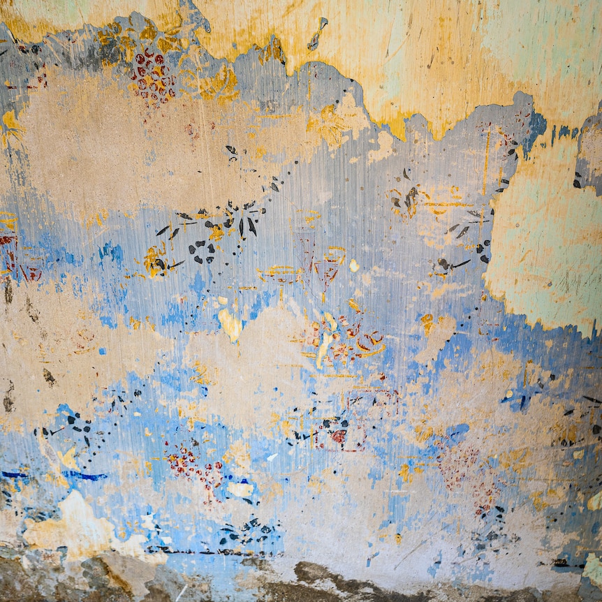 A painted wall.