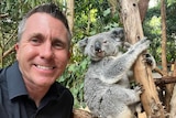 A man smiling with a koala in the background.