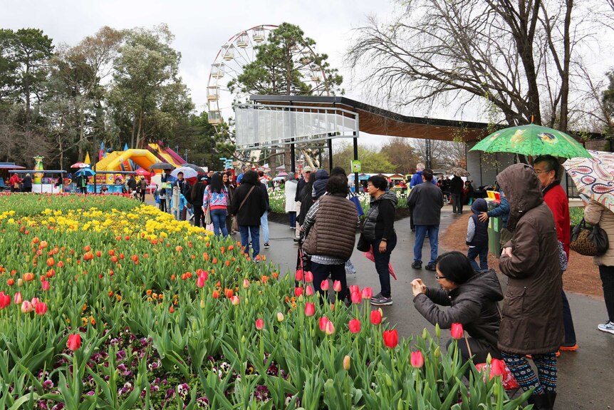 Visitors to the opening weekend of Canberra's annual flower festival Floriade 2016.