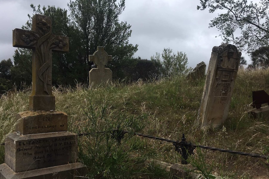 A photo of a cemetery in Richmond in Tasmania with ovrgrown grass and headstones at the brink of falling over in November 2018.