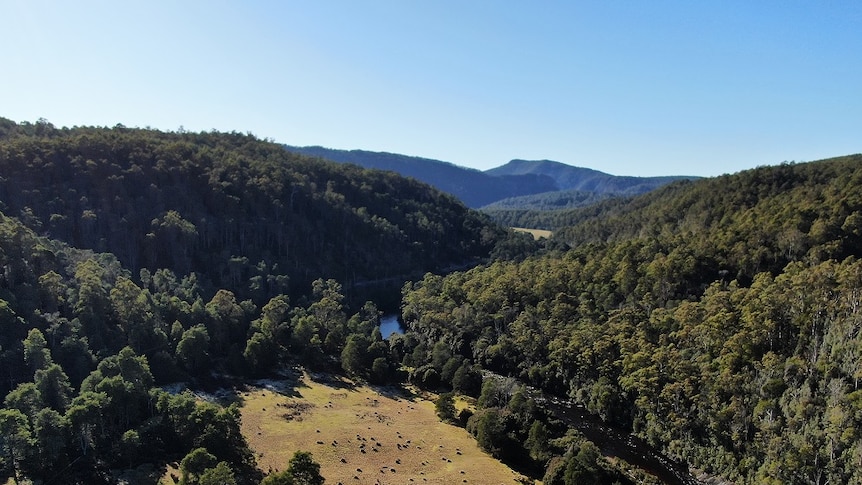 River valley with trees, and mountains in the background