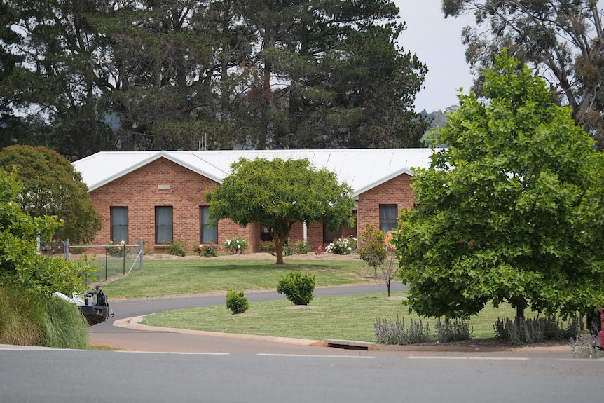 Large pine trees in the foreground, brick houses with white roof in the background 