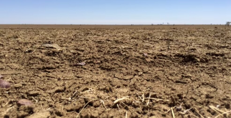 Zonas secas en el sur de Australia azotado por la sequía