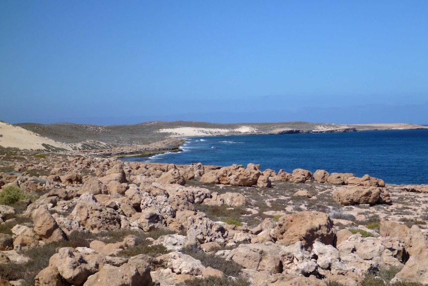 A rocky coastline with sand dunes in the distance under a blue sky on Dirk Hartog Island. October 7 2016