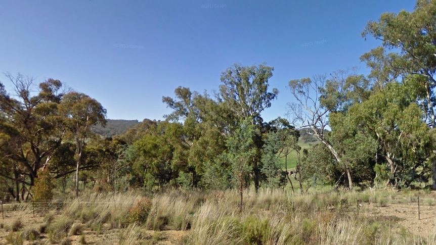 Bushland at Sallys Flat in New South Wales
