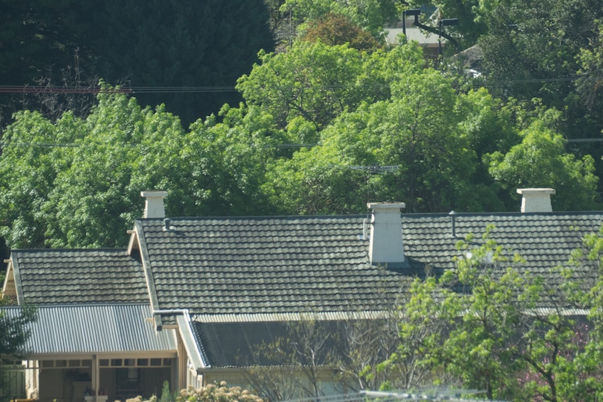 A tiled roof.