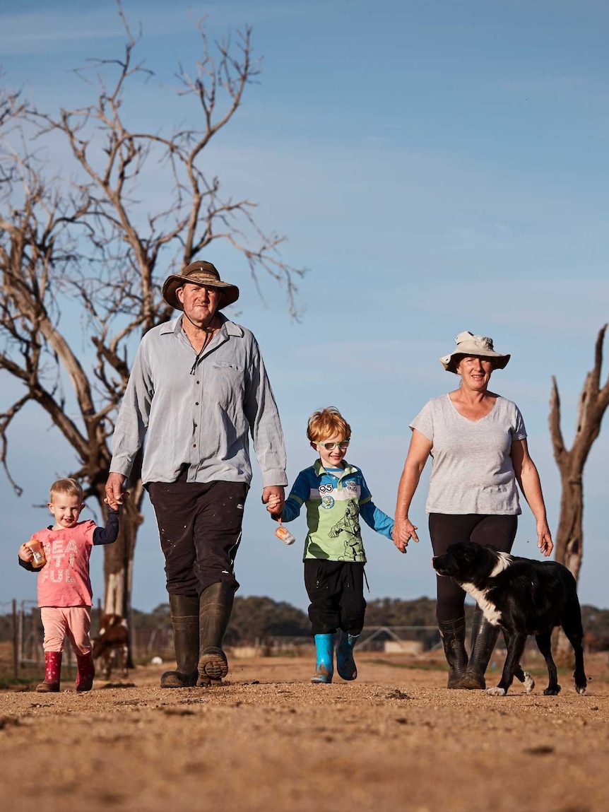 A family of four with a black and white dog walk in front of a dying tree.