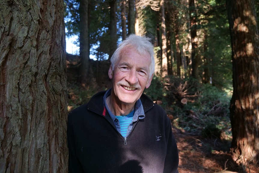 A man smiles at the camera and leans on a tree in a forest.