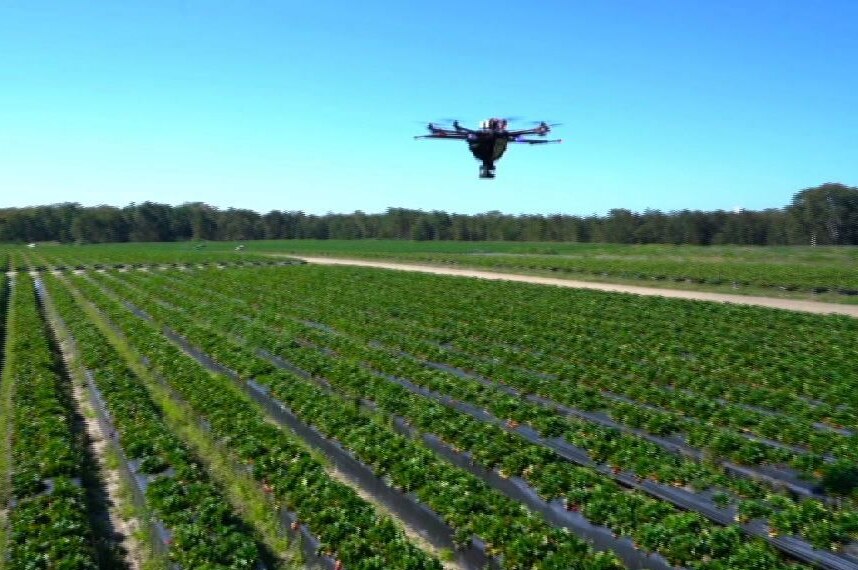 Drone flies over farmland