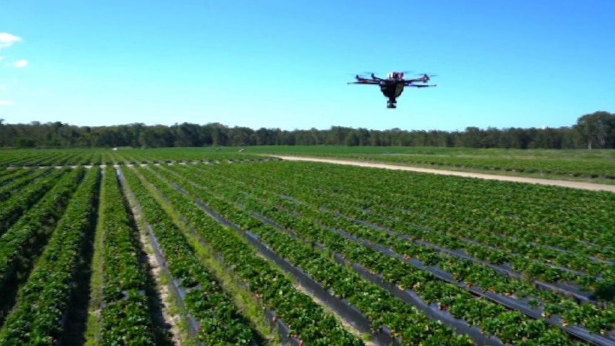 Drone flies over Nathan Roy's farm