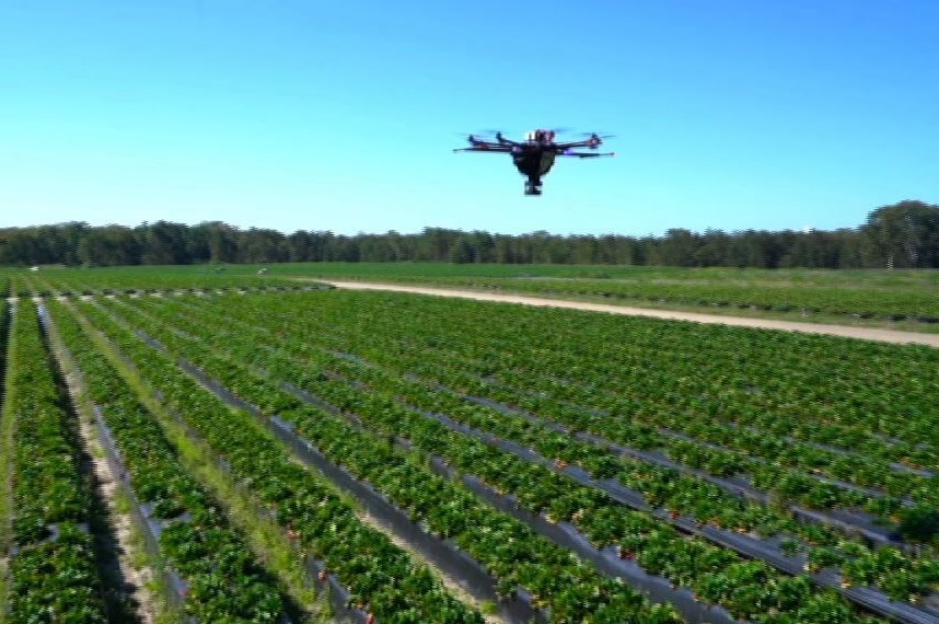 Drone flies over Nathan Roy's farm