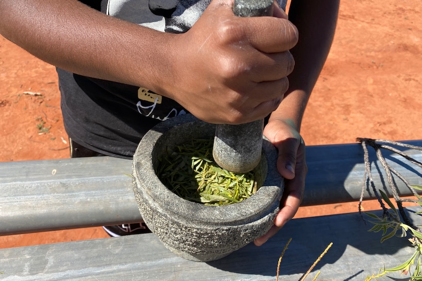 A close up of some leaves in a mortar being grinded by a young girls hands.