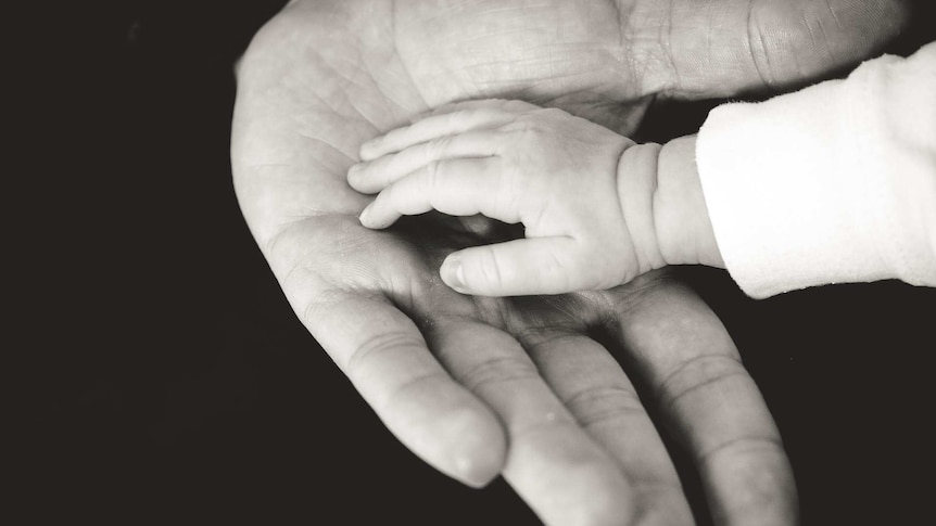 An adult hand and a baby's hand