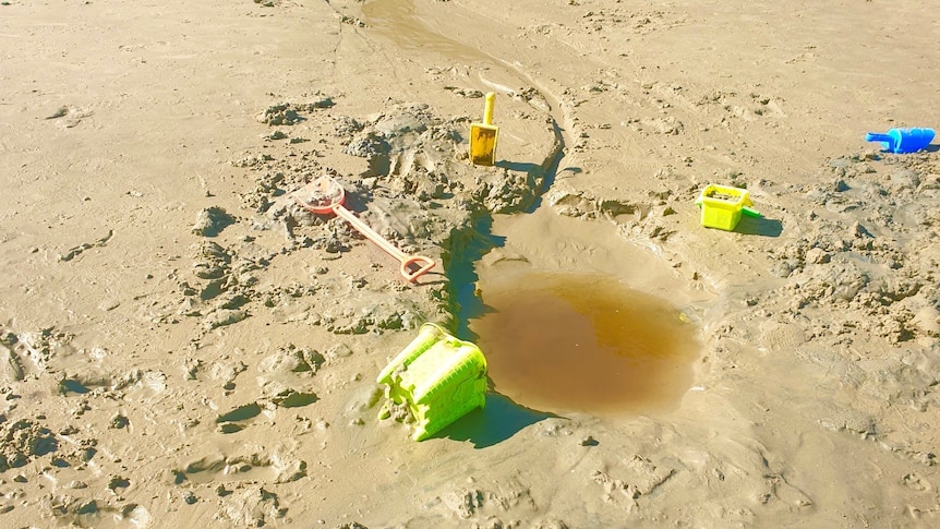 Abandoned kids' spades and buckets at Muirs beach near a possible contamination site