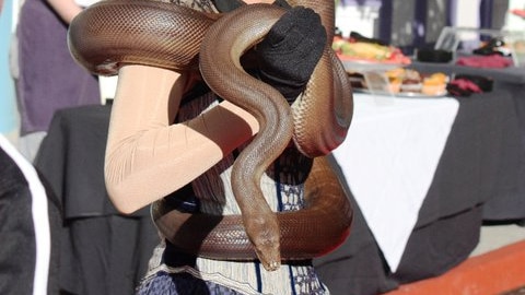 brown snake wrapped around woman's shoulders