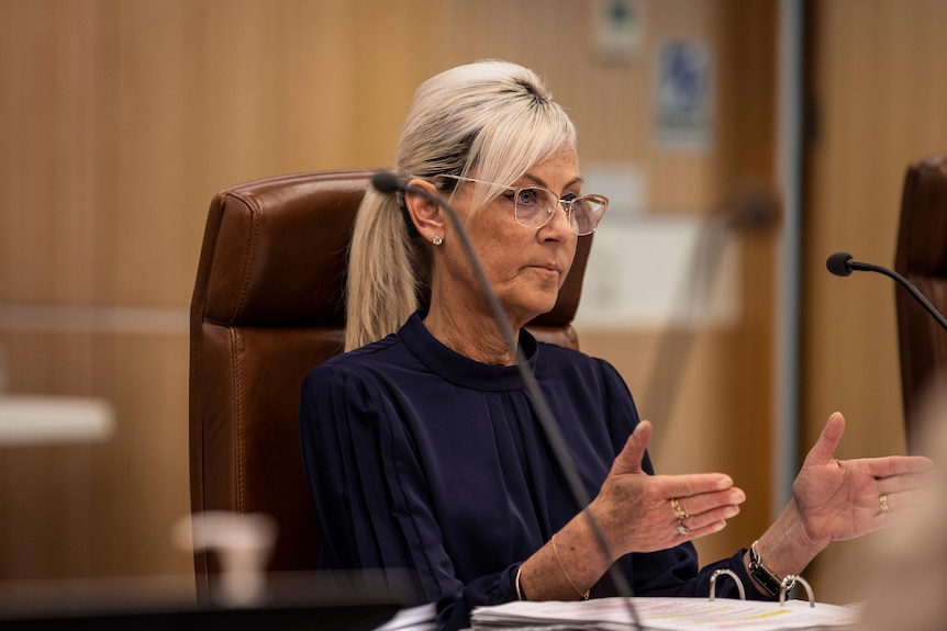 A woman gestures at a government meeting.