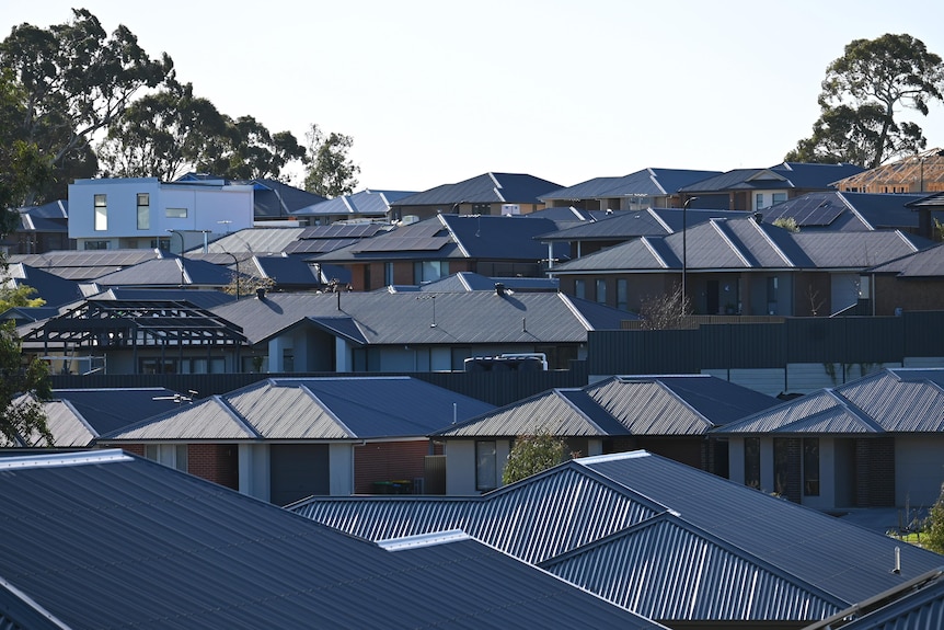 A new housing development of houses on small blocks with black rooves 