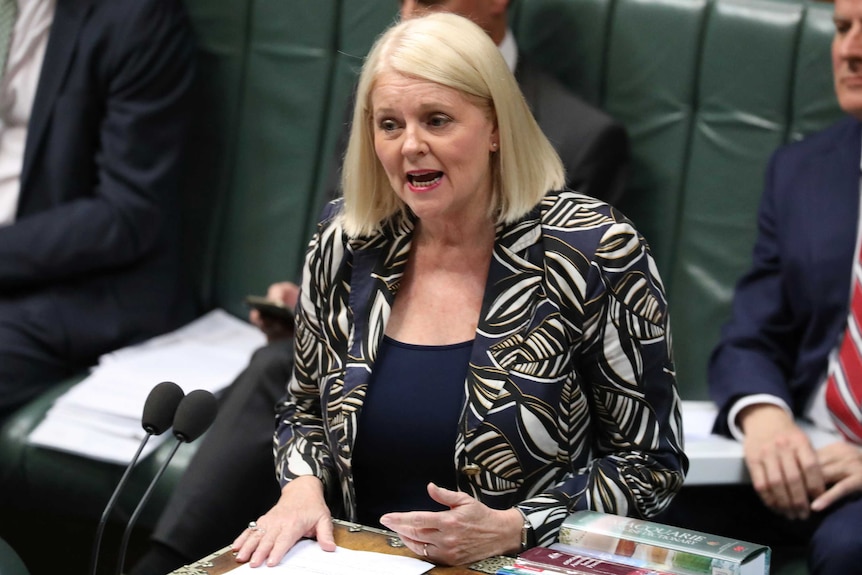 Karen Andrews stands at the despatch box in the House of Representatives