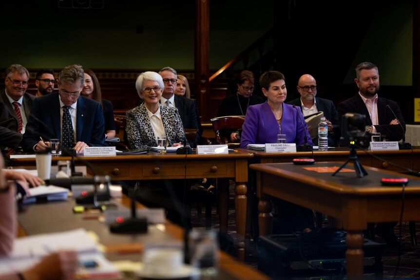 University chiefs at a parliamentary inquiry.
