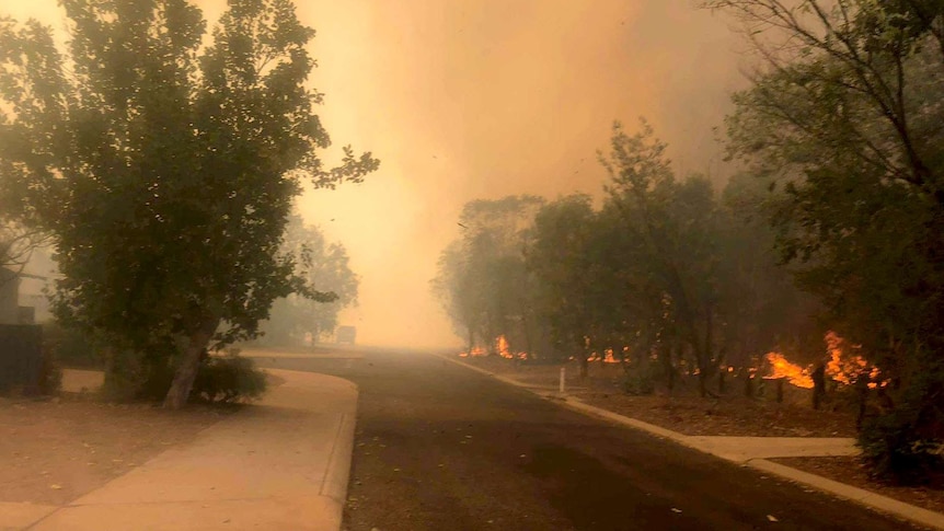 A street obscured by orange smoke.