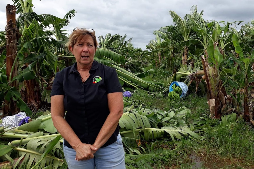 A woman in a dark shirt stands in front of a ruined banana crop.