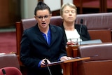 Jacqui Lambie was demoted by the PUP on Wednesday.