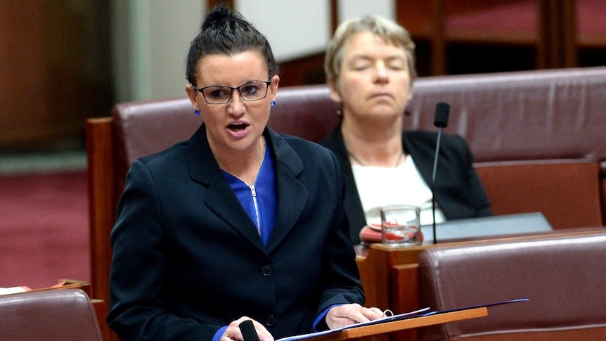 Senator Jacqui Lambie speaks in the Senate chamber at Parliament House in Canberra, November 19, 2014.