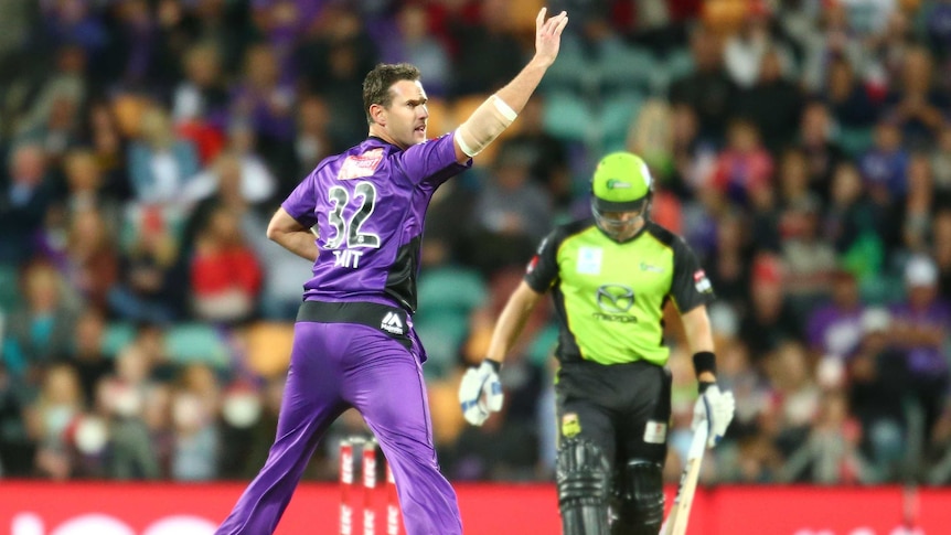Hurricanes' Shaun Tait appeals successfully for the dismissal of the Thunder's Shane Watson.