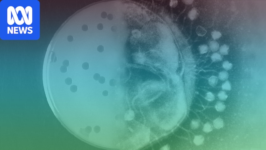 AI models design viruses not found in nature for first time - abc.net.au