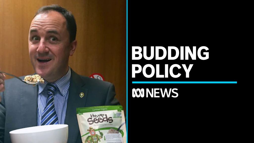 Minister hoists marijuana in state parliament - ABC News