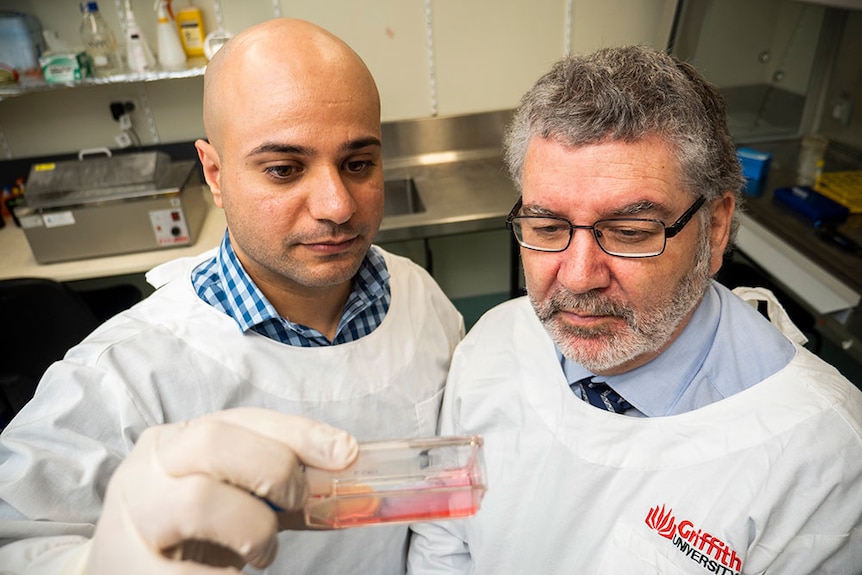 Dr Luqman Jabair and Professor Nigel McMillan look at a sample in a glass container.
