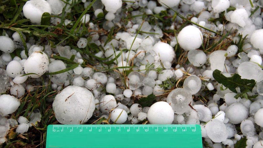 Hailstones on the ground with a plastic ruler.