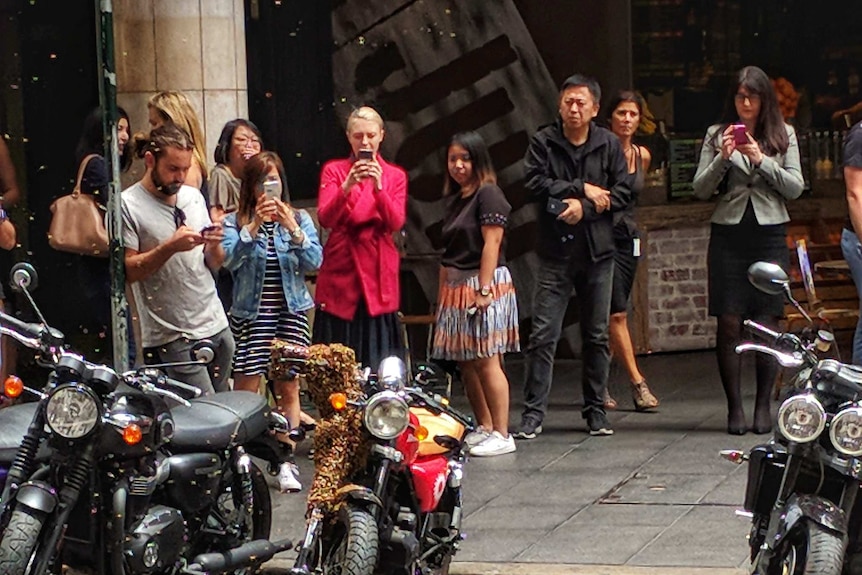 A group of people with smartphones taking photos of a bee swarm that has settled on a red motorbike.